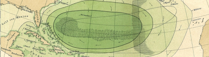 Sargasso Sea map