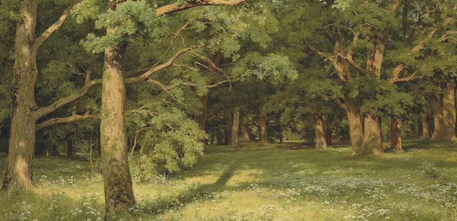 The Forest Clearing Shiskin